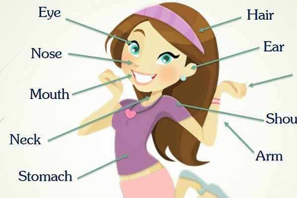 Phương pháp học từ vựng tiếng Anh hiệu quả